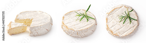 Fresh camembert cheese with sliced camembert isolated. Camembert cheese piece with rosemary on white background. Set of camembert cheeses.