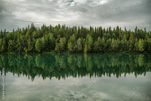 Lake and Forest Line Scenic Nature