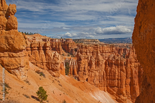 View of the Bryce Canyon landscape seen from the Navajo Loop