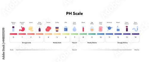 Ph scale infographic. Vector flat healthcare illustration. Color meter with number, text and sample item color icon from acidic to alkaline. Design for pharmacy, health care, cosmetology