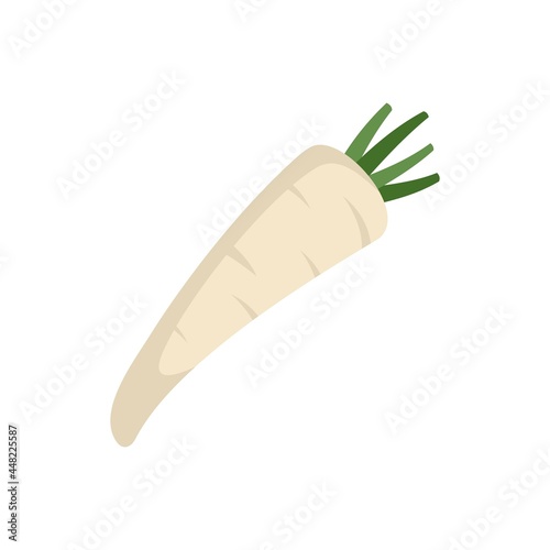 Ingredient parsnip icon flat isolated vector