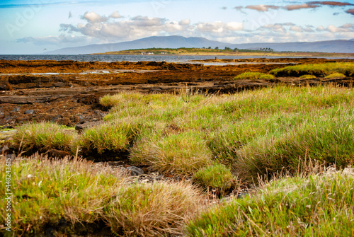 Isle of Skye coast salt marsh and sedimentary rocks at low tide selective focus