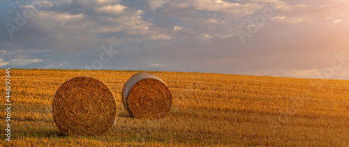 Hay ball in a wide rural landscape during the sunset