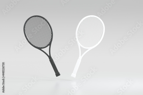 3D rendering tennis and racket