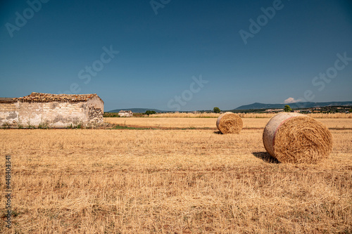 Balle di fieno a fine luglio in sud Italia