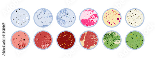Petri dish, plate with agar, bacterial colony. Bacteriology. Microbiology. Laboratory test, bacteriological swab, chemical analysis. Vector flat cartoon illustration