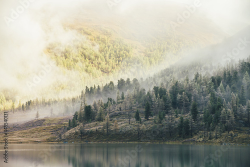 Colorful autumn landscape with mountain lake and coniferous trees with hoarfrost on hill with view to forest mountain in golden sunshine in low clouds. Sunlit yellow and frosty white larches in fog.