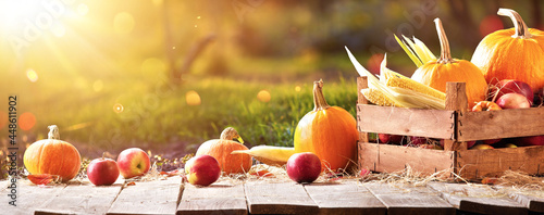 Happy Thanksgiving Day Background. Autumn Harvest