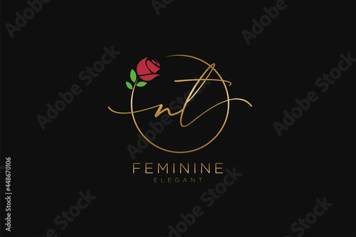 initial NT Feminine logo beauty monogram and elegant logo design, handwriting logo of initial signature, wedding, fashion, floral and botanical with creative template.