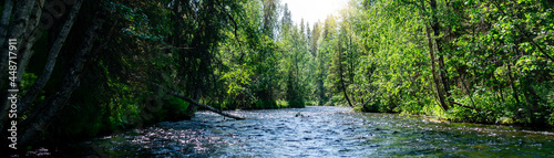 River in the forest taiga. Panoramic view of nature, summer day.