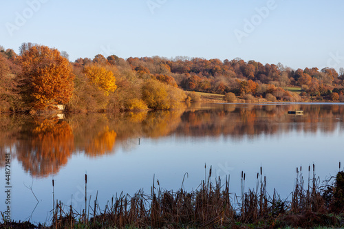 Russet colours of autumn at Weir Wood Reservoir near East Grinstead