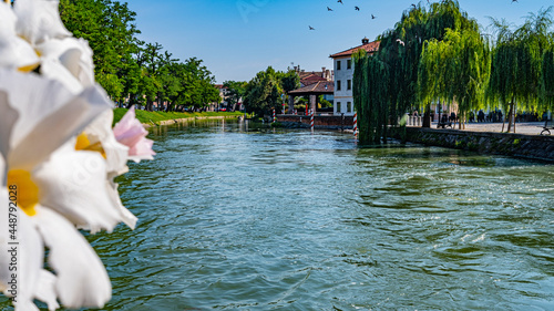 water canal, houses, flowers, trees in Dolo, Venice. Italy