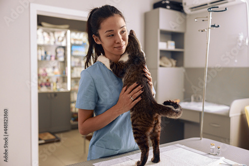 Asian veterinarian intern in blue uniform hugs tabby cat at table in clinic