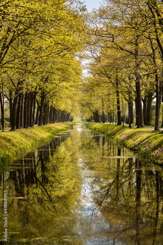 Canal with water surrounded by greenery and nature reflections in the water on the calm picturesque dutch rural countryside in Grientsveen, The Netherlands on a sunny day during spring
