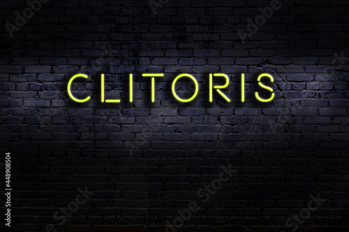 Night view of neon sign on brick wall with inscription clitoris