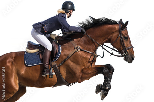 Horse Jumping, Equestrian Sports, Show Jumping themed photo isolated on white background