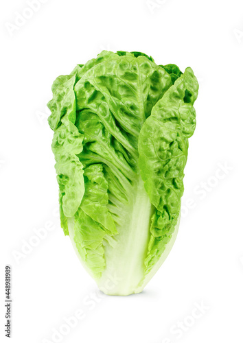 Fresh baby cos romaine letucce isolated on white background
