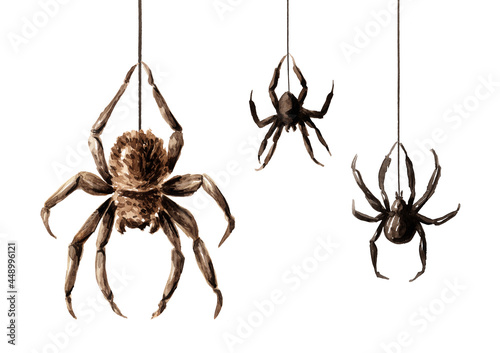spider hanging on a web set. Hand drawn watercolor illustration, isolated on white background