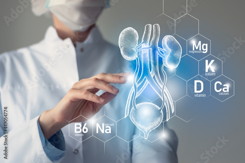 Set of main human organs with molecular grid, micronutrients and vitamins with doctor on blurry blue background. Bladder and Kidneys organ.