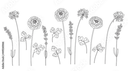 Monochrome Different Flowers on Stems Set