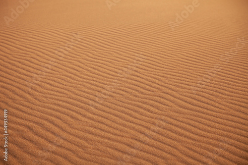 Duna del desierto del Sahara. Sahara desert dune.