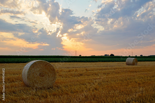 round straw bales lying in the harvested wheat filed with colorful sunset sky in the background