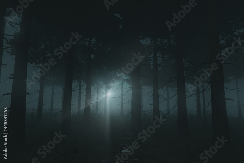 3d rendering of pine forest with fern plants illuminated from the flashlight