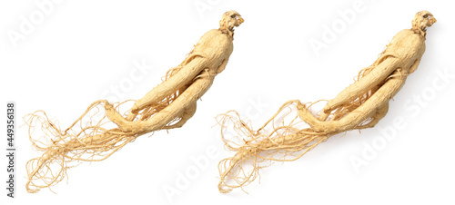 Dried ginseng isolated on white background, top view