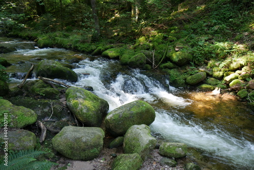 Der Grobbach, ein Wildbach zum Geroldsauer Wasserfall