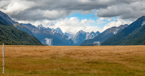 Field and mountains in New Zealand