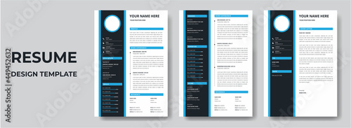Clean Modern Resume and Cover Letter Layout Vector Template for Business Job Applications, Minimalist resume cv template, Resume design template, cv design, multipurpose resume design