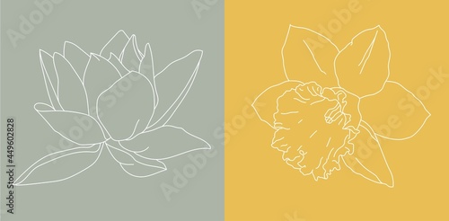 Vector set of linear flowers icons - floral design templates - design elements for decoration in modern minimalist style.