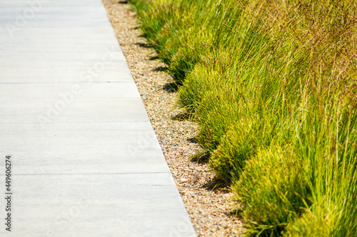 Concrete sidewalk, gravel and green drought tolerant ornamental grass planted in rows under bright sun. Selective focus