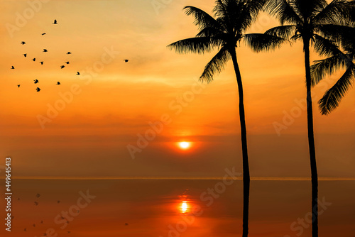 A flock of flying silhouette birds in the sky in the morning light of a new day bright. Silhouette of the palm tree and sunrises background with reflection in the water.