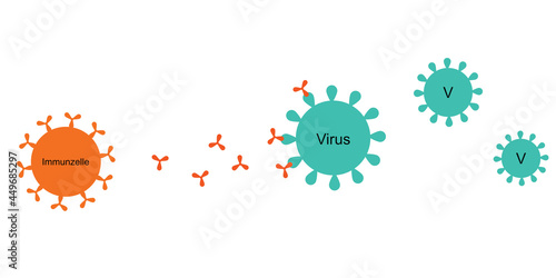 Immunsystem reagiert auf Virus