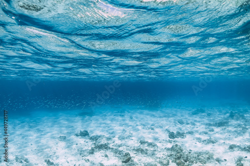 Tropical ocean with school of little fish in underwater. Ocean background