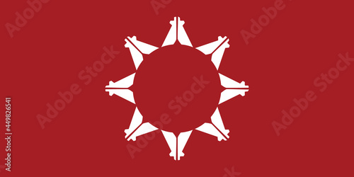 Pine Ridge flag in real proportions and colors, vector