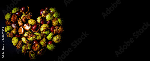 Stacked autumn chestnuts