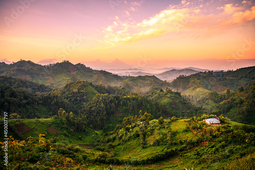 Bewindi National park uganda