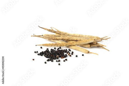 Closeup of canola seeds and dried pods of it on the white background
