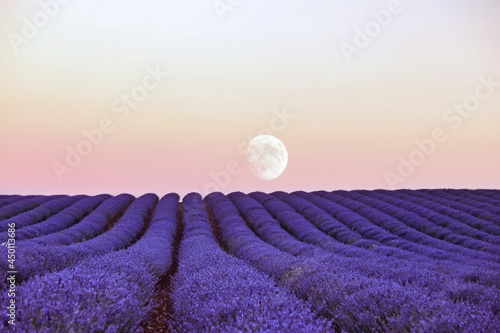 Scenic view of lavender fields and the moon in the sky at the sunset