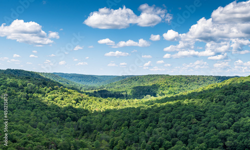 Overlooking the Allegheny National Forest in Mt Jewett, Pennsylvania, USA on a sunny summer day