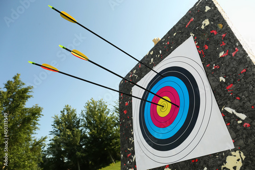 Arrows in archery target outdoors, closeup view