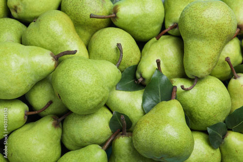 Many fresh ripe pears as background, closeup