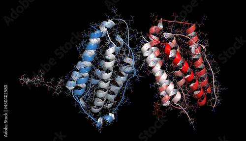 Interferon beta protein. 3D Illustration.