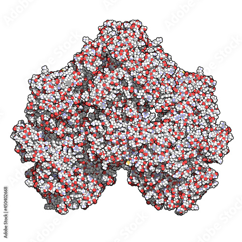 Lactase (Kluyveromyces lactis beta-galactosidase) enzyme. 3D Illustration.