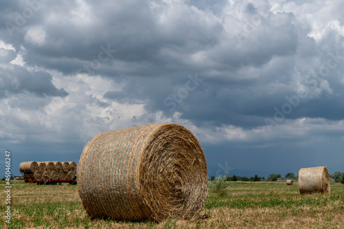 Hay bales in a field with a trailer full of other bales in the background under a dramatic sky, Bientina, Pisa, Italy