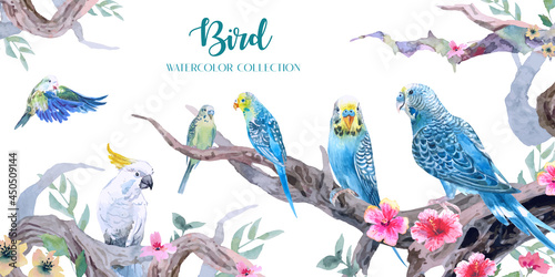 Beauty budgerigar and parrot watercolors in a jungle with a set of curved branches and flower. 