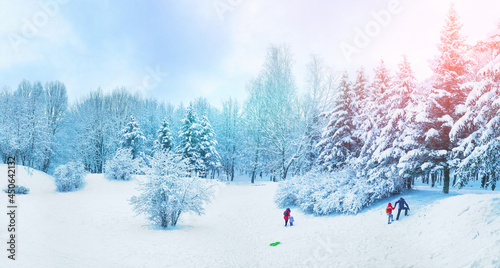 Beautiful winter landscape with snow, forest snow-covered fir trees, blue sky and walking children with parents ​in shining sunny day. Wide panorama format.
