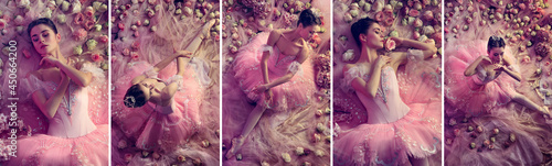 Queen of roses. Top view of beautiful young woman in pink ballet tutu surrounded by flowers. Spring mood and tenderness in coral light.